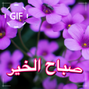 Arabic Good Morning Good Day Gifs Images