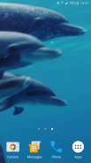 Дельфины Живые Обои screenshot 6