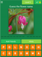 Flower Name Quiz screenshot 8