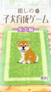 癒しの子犬育成ゲーム〜柴犬編〜 screenshot 10