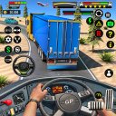 camion autista pazzo camion 3d