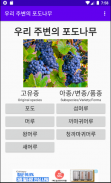 우리 주변의 포도나무 screenshot 1