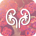 Kidney Handbook Icon