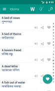 Verb Bangla screenshot 4