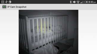 Wear IP Cam Viewer screenshot 4