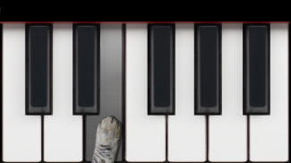 Cat Piano Memory Game screenshot 1