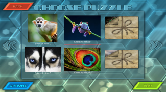 HexLogic - Zoo screenshot 12