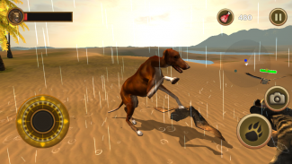 Bird Dog Simulator screenshot 2