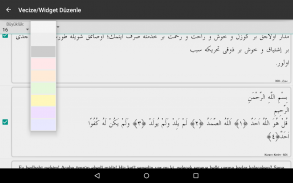 Risale-i Nur Okuma Android screenshot 15