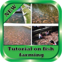 Tutorial on fish farming Icon