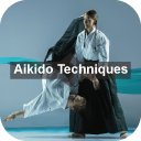 Learn Aikido Techniques