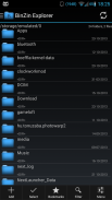 File Explorer and Mini Player screenshot 4