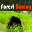 Forest Racing 3D