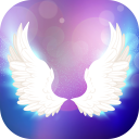 Ailes Ange Montage Photo Wings Icon