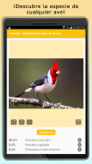 AvesID - Identifica aves screenshot 2