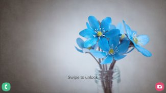 Flower Wallpaper & Nature HD screenshot 9