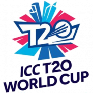 T20 Cricket screenshot 0