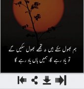 Ibn e Insha Shayari screenshot 0