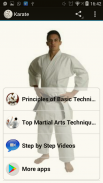 Karate Basics screenshot 0