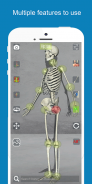 Corporis Anatomy | Interactive 3D Human Body Atlas screenshot 13