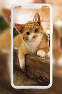 Hình nền mèo con screenshot 7