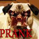 Prank Bloodthirsty Pug Icon