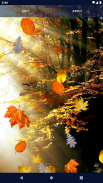 Autumn Leaves Live Wallpaper screenshot 0