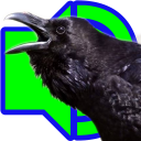 Crow Calls Icon