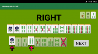 Mahjong Flush Drill screenshot 3