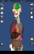 3D Bones and Organs (Anatomy) screenshot 9