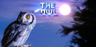 The Owl