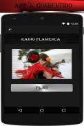 Musica Flamenca Gratis screenshot 2