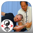 Tai Chi Martial Applications Icon