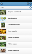 Fruta screenshot 3