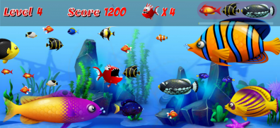 Hungry Piranha Fish screenshot 7