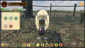 Capybara Zoo screenshot 7