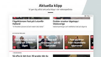 SVT Nyheter screenshot 4