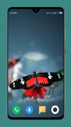 Butterfly Wallpaper 4K screenshot 9