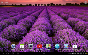 Landscape Wallpaper screenshot 3