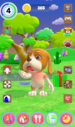 Vorbind câine de baset screenshot 8