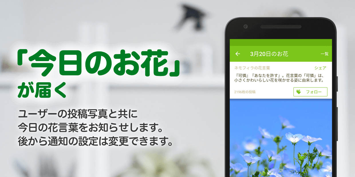 Greensnap 植物 花の名前が判る写真共有アプリ 2 19 0 Download Android Apk Aptoide