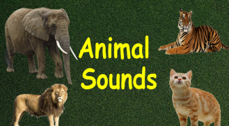 Animal Sounds screenshot 5