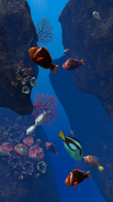 Ocean Aquarium screenshot 14