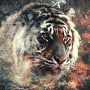 Tiger Live Wallpaper