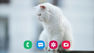 Cat Wallpapers screenshot 16