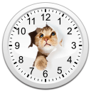 Cats Analog-Clocks Widget Icon