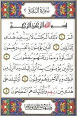 quran screenshot 2