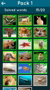 Animal Kingdom Guessing Game screenshot 5