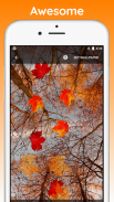 Autumn Live Wallpaper screenshot 0