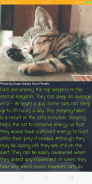 Cats Wiki: Kittypedia screenshot 5